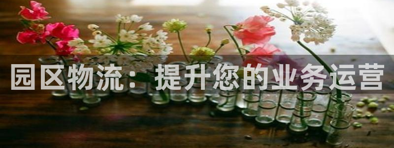 28圈麻将胡了：园区物流：提升您的业