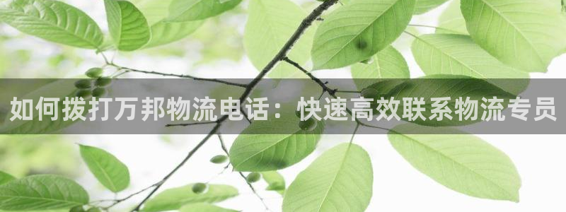 28圈注册登录流程：如何拨打万邦物流