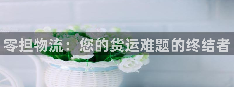 28圈APP是干什么的：零担物流：您