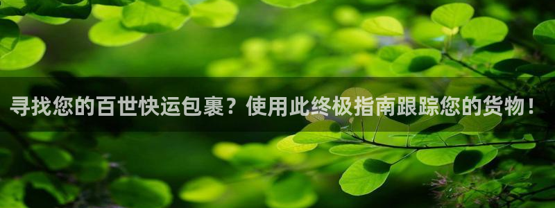 28圈充值方式：寻找您的百世快运包裹