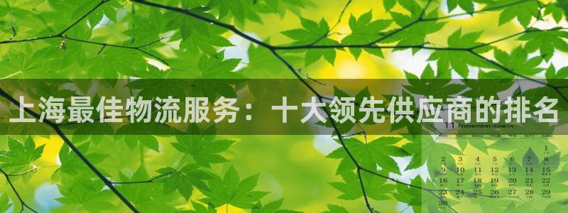 28圈游戏官网平台：上海最佳物流服务